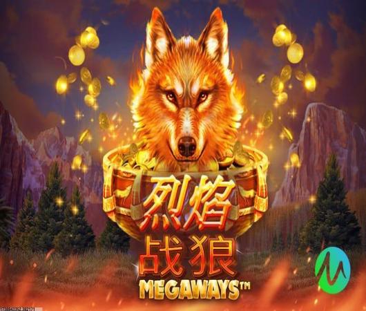 真赵云无双